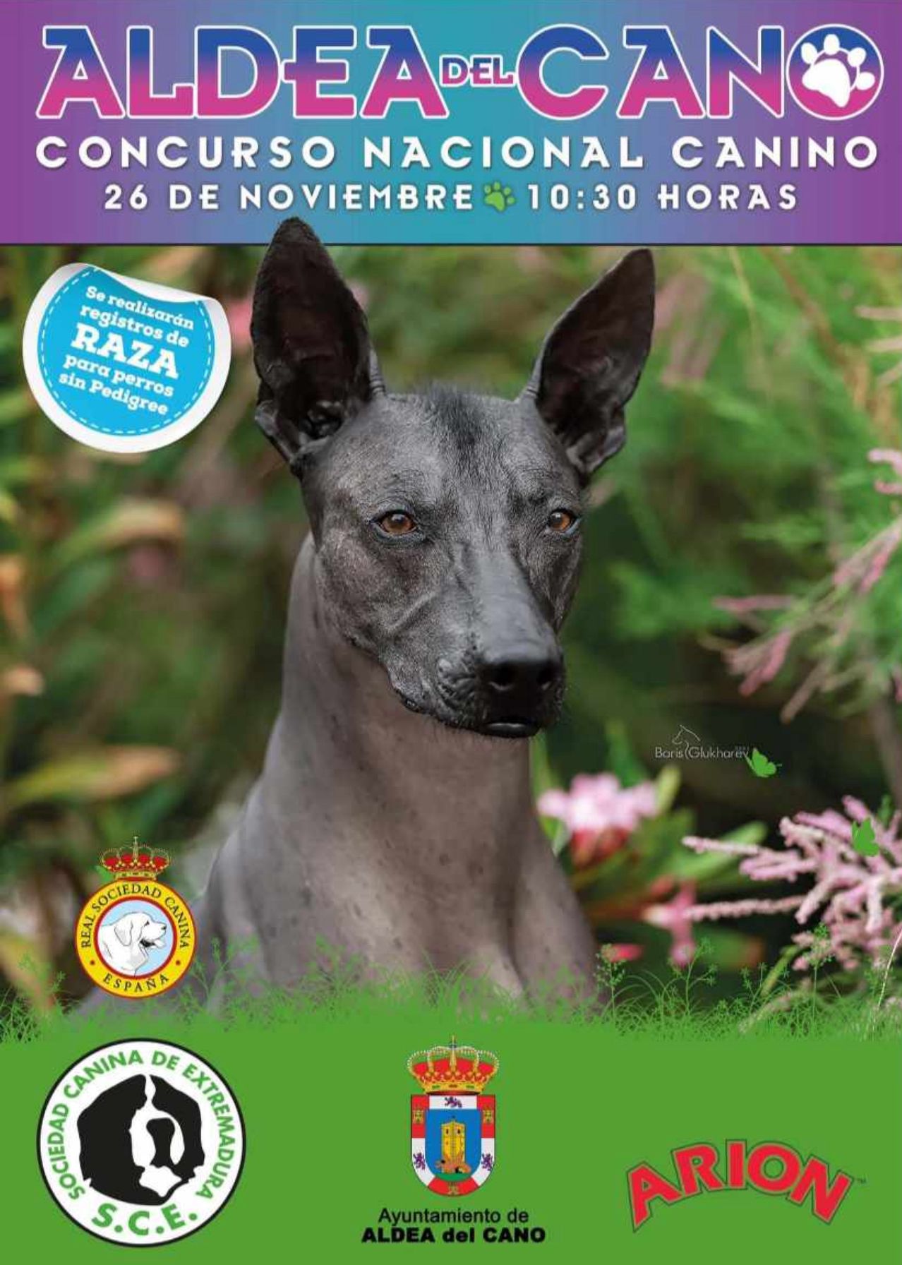 Concurso Nacional Canino